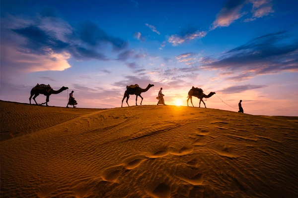 Camel Riding and Desert Photography